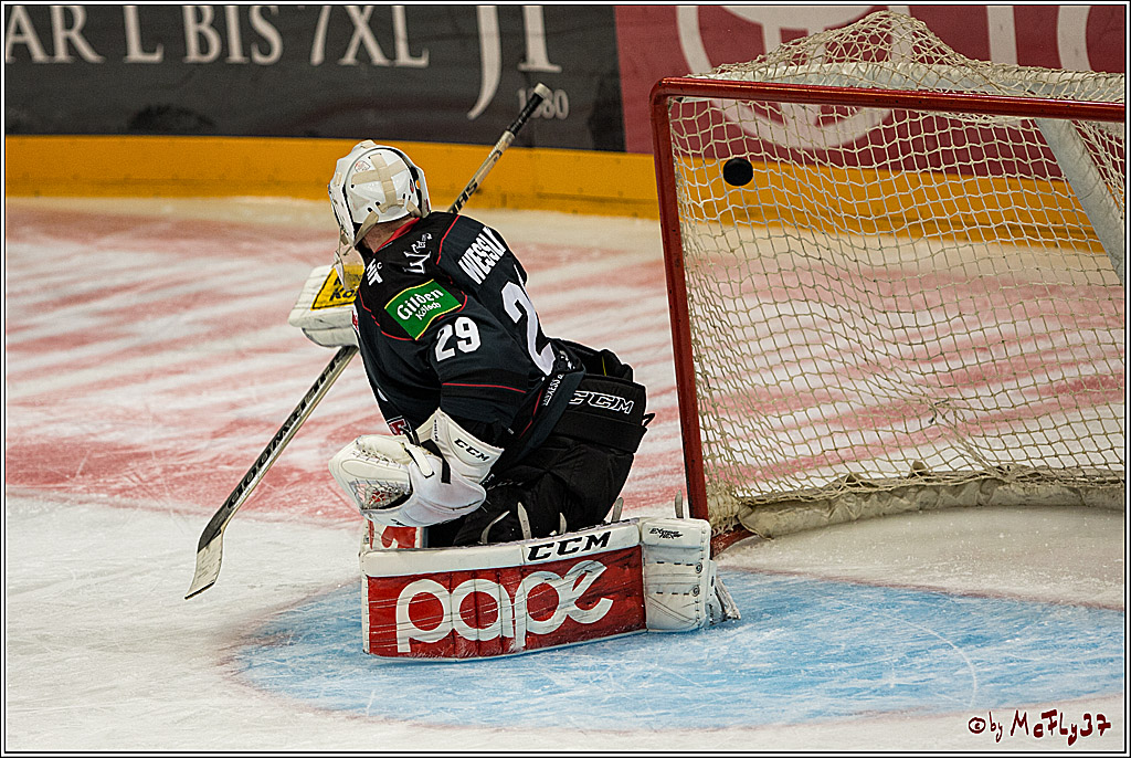 Koelner Haie - Pinguins Bremerhaven, 25.10.2016